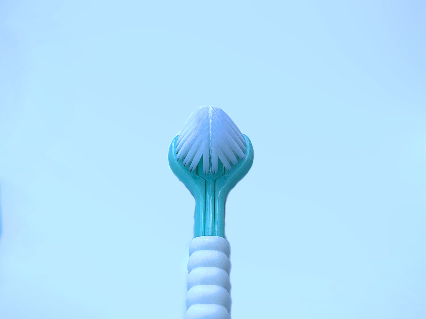 MC14 Three Headed Tooth Brush